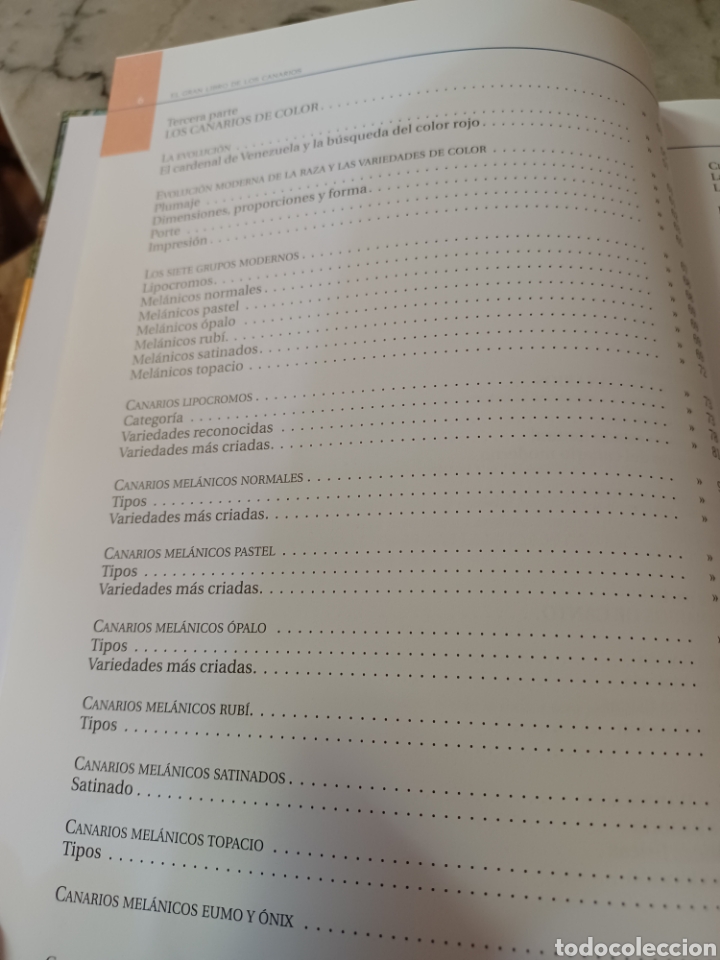 Libros: Barybook 279. El.gran libro de los canarios Gianni Ravazzi editorial de vecchi - Foto 6