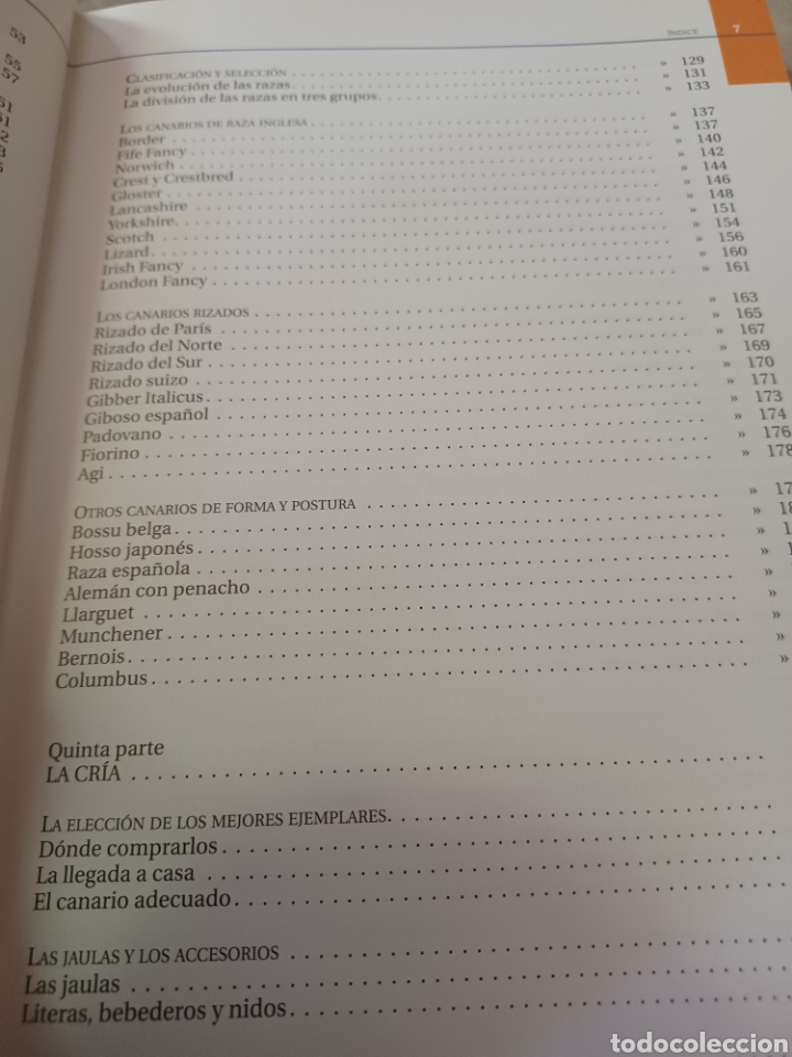Libros: Barybook 279. El.gran libro de los canarios Gianni Ravazzi editorial de vecchi - Foto 7