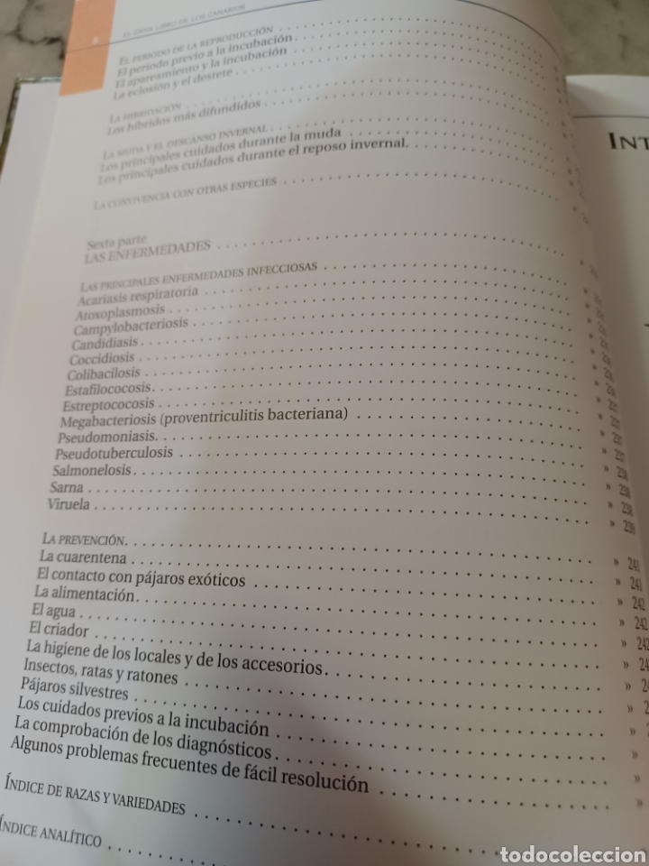 Libros: Barybook 279. El.gran libro de los canarios Gianni Ravazzi editorial de vecchi - Foto 8