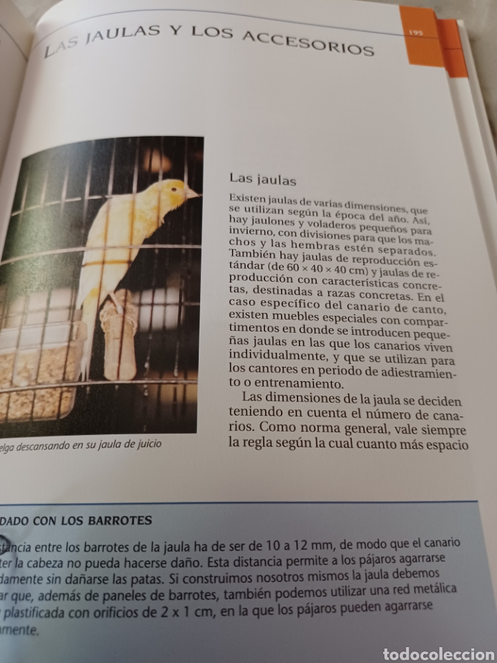 Libros: Barybook 279. El.gran libro de los canarios Gianni Ravazzi editorial de vecchi - Foto 16