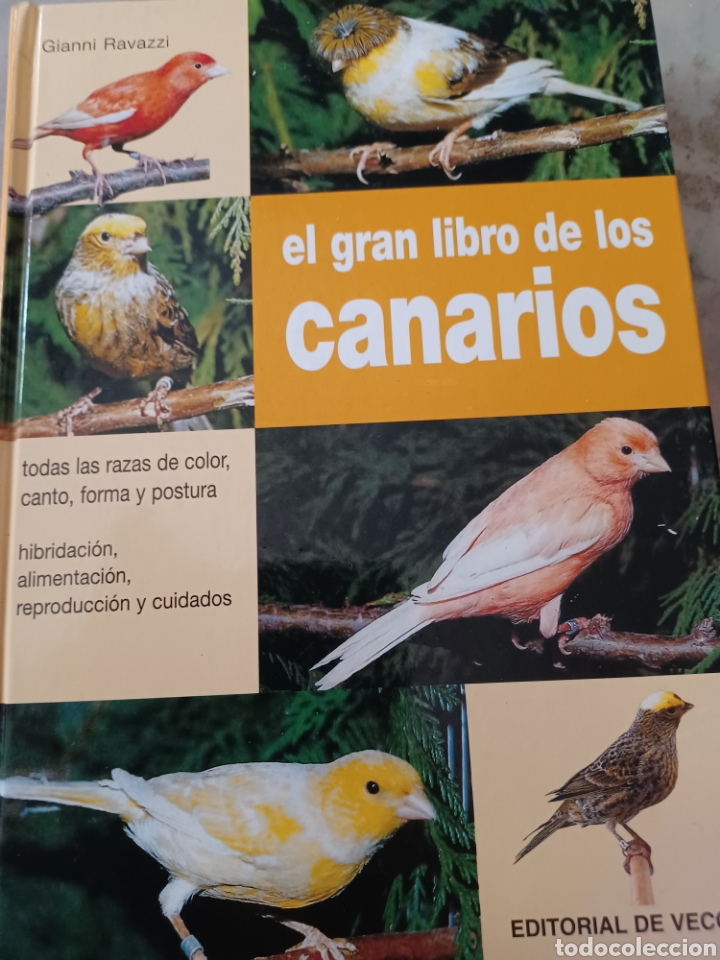 Libros: Barybook 279. El.gran libro de los canarios Gianni Ravazzi editorial de vecchi - Foto 1