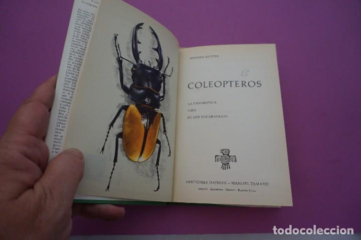 Libros: AMF-9E/ COLEOPTEROS - MOHRES REITTER / EDICIONES DAIMON - Foto 2