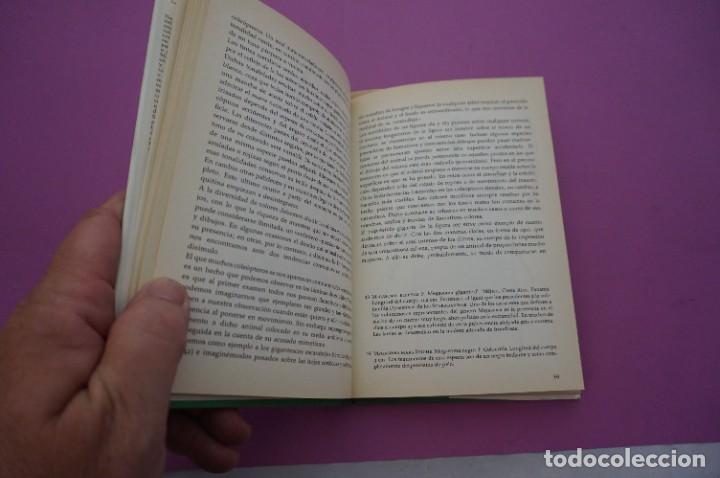 Libros: AMF-9E/ COLEOPTEROS - MOHRES REITTER / EDICIONES DAIMON - Foto 3