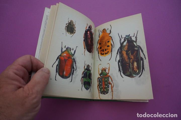 Libros: AMF-9E/ COLEOPTEROS - MOHRES REITTER / EDICIONES DAIMON - Foto 4