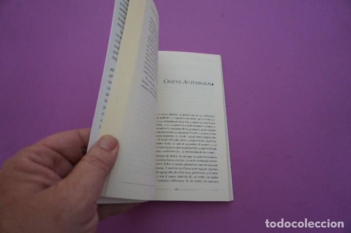 Libros: AMF-9G/ VENTANAS AL CAMPO - JORGE DE VIVERO / TRISTAM - Foto 3