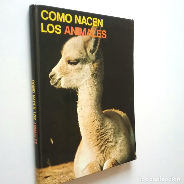 Libros: Bernard Gaudin - Como nacen los animales - Foto 1