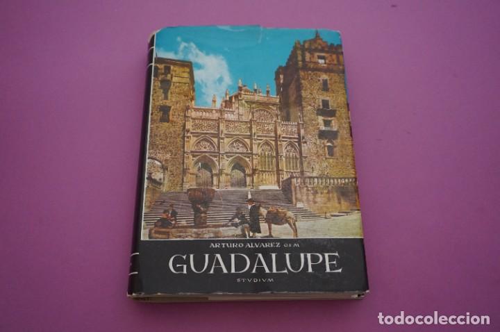Libros: AMF-10G/ GUADALUPE - FR. ARTURO ALVAREZ / STUDIUM EDITOR - Foto 1