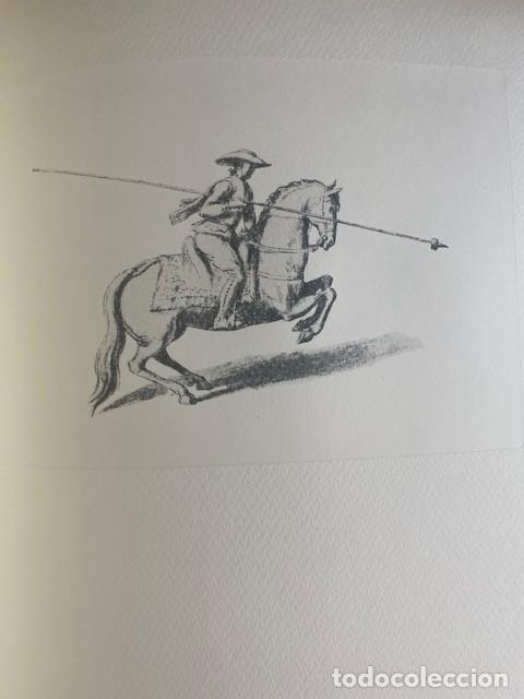 Libros: LIDIA DE TOROS EN ESPA&Ntilde;A 1717-1797 - Emmanuel Witz - Foto 5