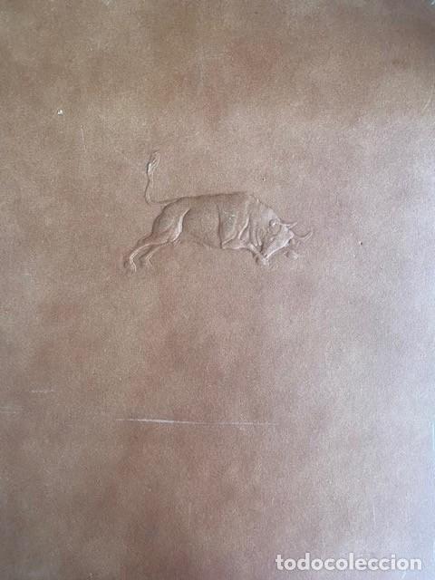 Libros: LIDIA DE TOROS EN ESPA&Ntilde;A 1717-1797 - Emmanuel Witz - Foto 1