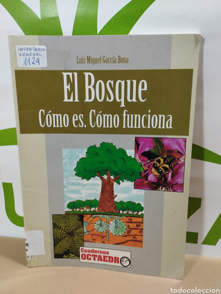 Libros: El bosque. C&oacute;mo es. C&oacute;mo funciona. Cuaderno octaedro. - Foto 1