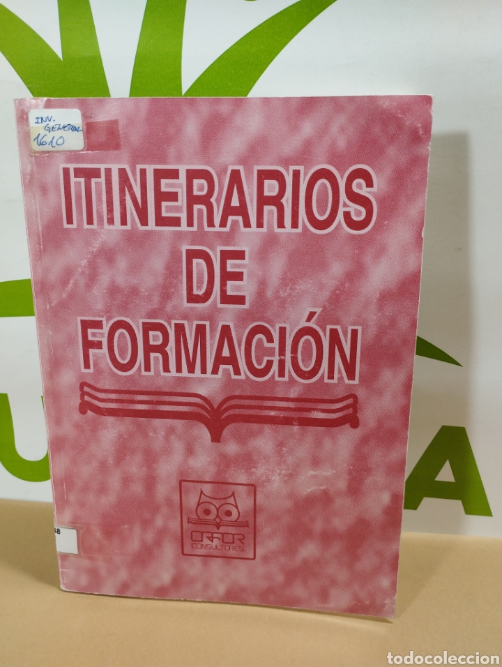 Itinerarios de formaci&oacute;n. Orfor consultores.