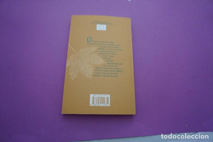 Libros: AMF-11F/ CANTIGAS DE ESCARNHO E DE MALDIZER - ANTOLOXIA - / A NOSA TERRA EDITOR - Foto 5