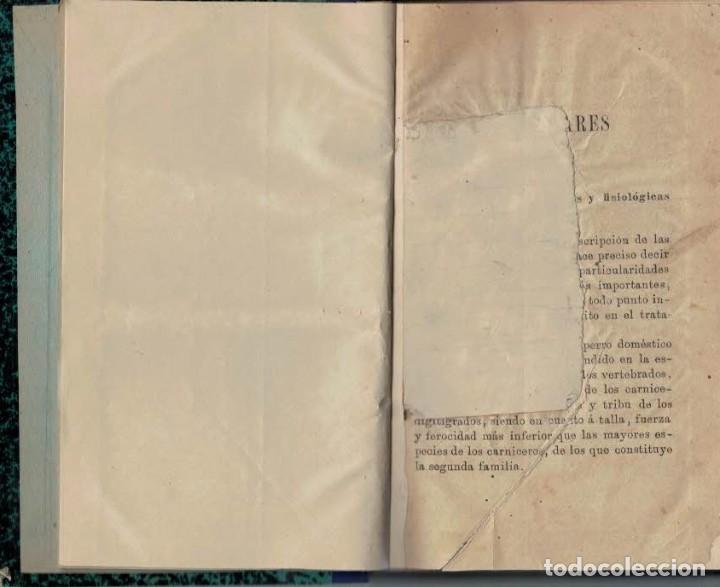 Libros: TRATADO PRACTICO DE LAS ENFERMEDADES DEL PERRO - An&oacute;nimo. - Foto 2