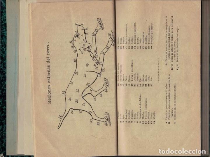 Libros: TRATADO PRACTICO DE LAS ENFERMEDADES DEL PERRO - An&oacute;nimo. - Foto 3