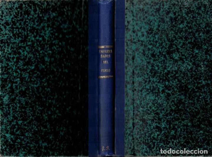 Libros: TRATADO PRACTICO DE LAS ENFERMEDADES DEL PERRO - An&oacute;nimo. - Foto 1