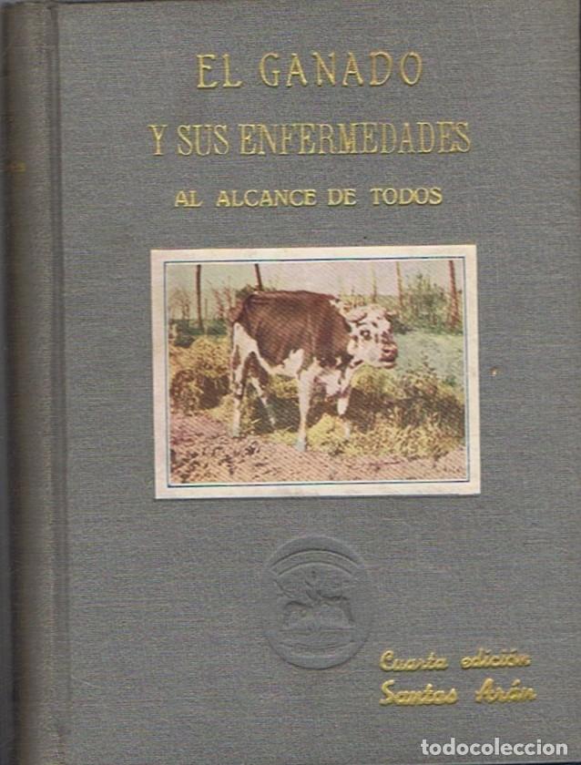 Libros: EL GANADO Y SUS ENFERMEDADES. - Ar&aacute;n. Santos, - Foto 1