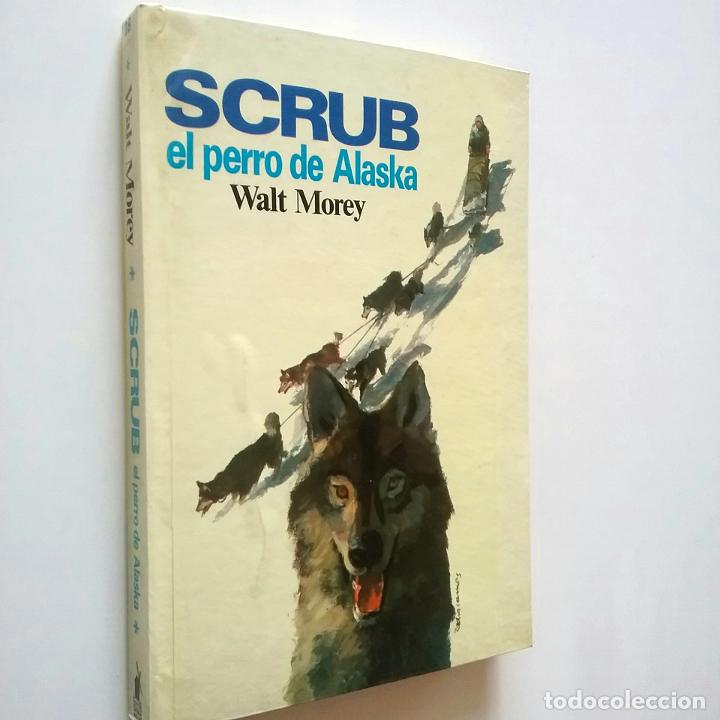Libros: Walt Morey - Scrub, el perro de Alaska - Foto 1