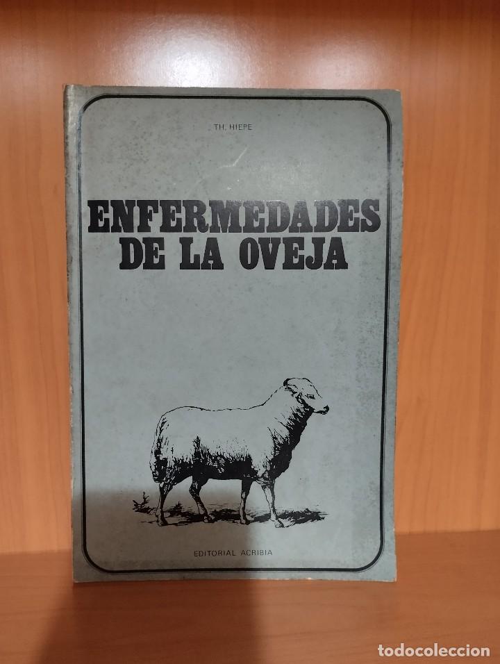 Libros: Enfermedades de la Oveja Th. Hiepe - Foto 1