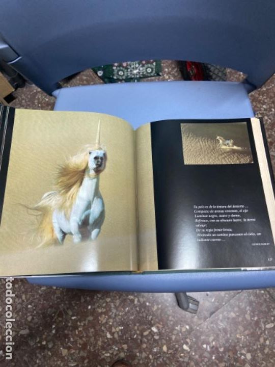 Libros: !UNICORNIOS? - Robert Vavra - Foto 4