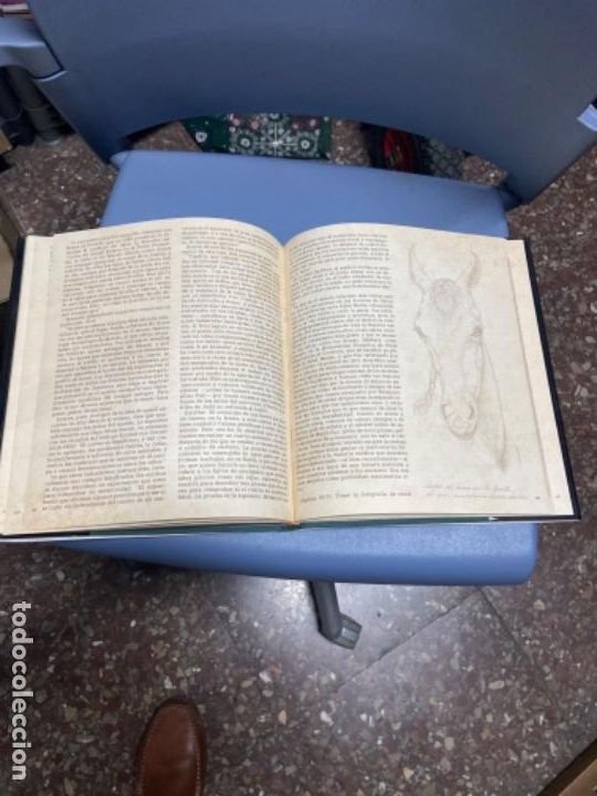 Libros: !UNICORNIOS? - Robert Vavra - Foto 6
