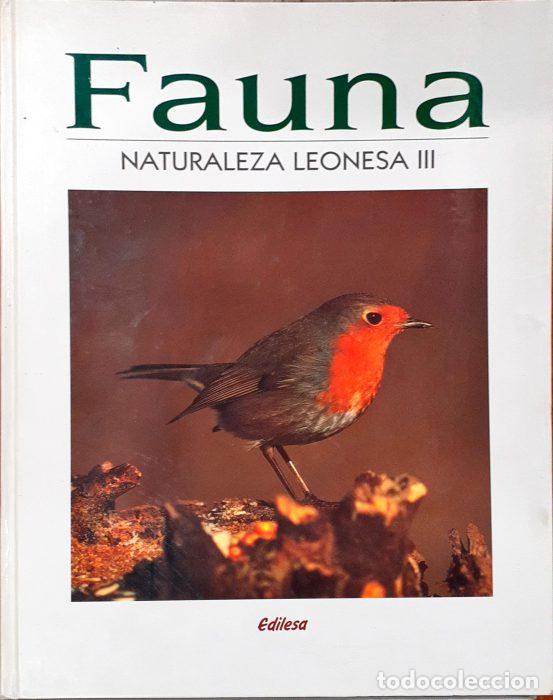 Libros: Fauna &ndash; Naturaleza Leonesa III &ndash; - VVAA - Foto 1