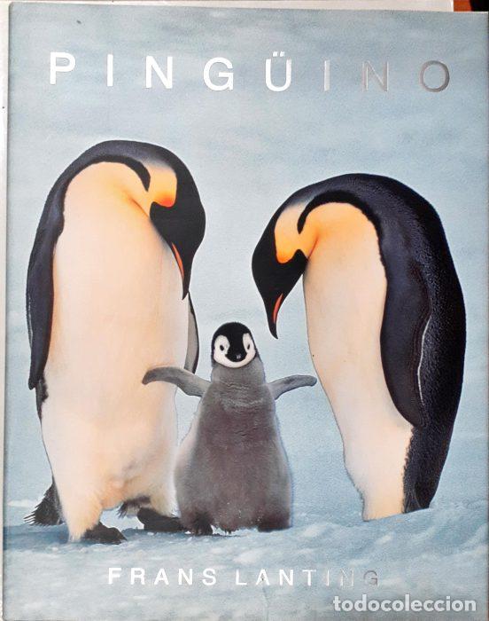 Libros: Ping&uuml;ino - LANTING, FRANS - Foto 1