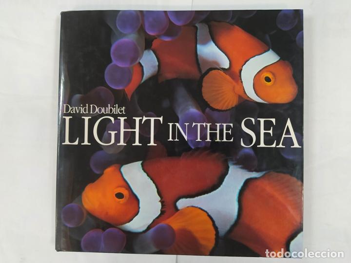 Libros: Light in the Sea. - David Doubilet. TDK504B - Foto 1