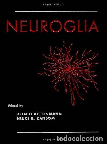 B&uuml;cher: Neuroglia - Editor Helmut Kettenmann / Bruce R. Ransom