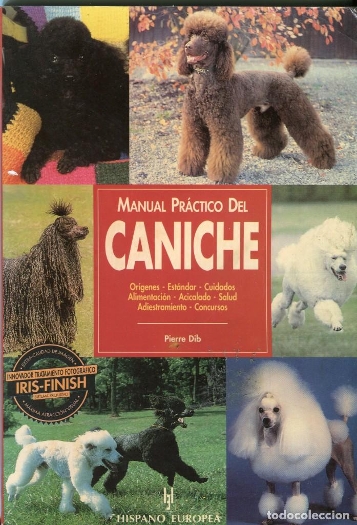 Libros: EL CANICHE, MANUAL PRACTICO LIBRO TOTALMENTE ILUSTRADO PIERRE DIB - A&Ntilde;O 1996 - Foto 1
