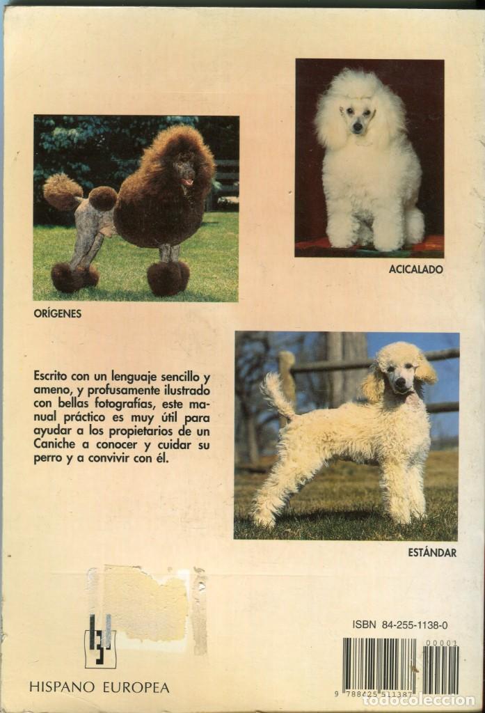 Libros: EL CANICHE, MANUAL PRACTICO LIBRO TOTALMENTE ILUSTRADO PIERRE DIB - A&Ntilde;O 1996 - Foto 2