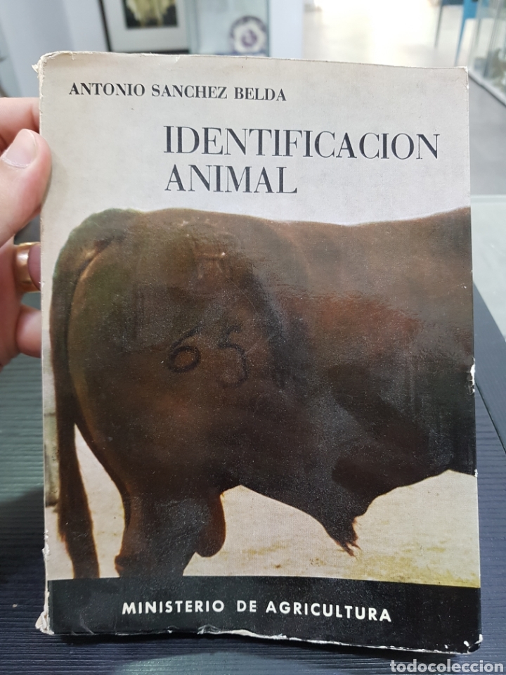 Livros em segunda m&atilde;o: Libro identificacion animal. Ministerio de agricultura. (L37)