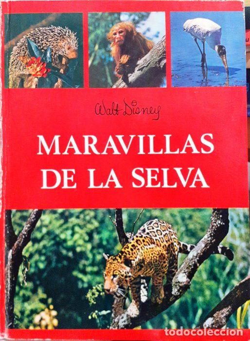 Libros: Maravillas de la selva - DISNEY, WALT - Foto 1