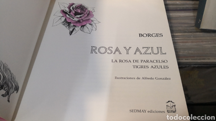 Libros: Borges, Rosa y azul, Alfredo Gonz&aacute;lez - Foto 4