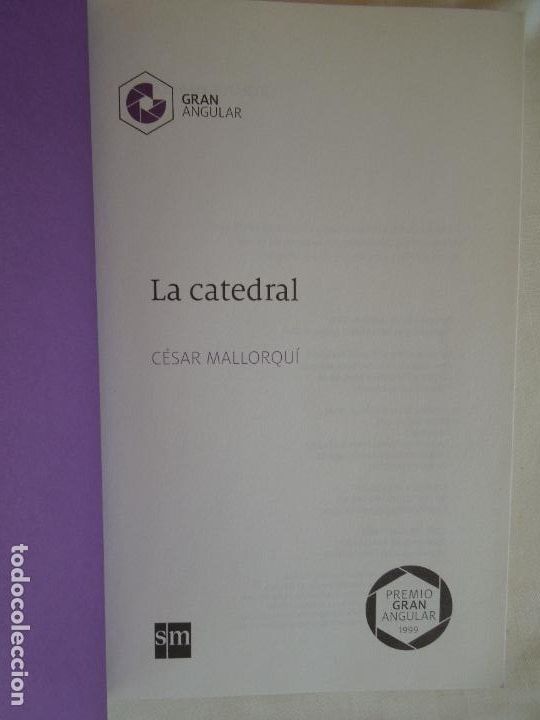 Libros: LA CATEDRAL - C&Eacute;SAR MALLORQU&Iacute; - EDITORIAL SM 2017 - PREMIO GRAN ANGULAR. - Foto 2