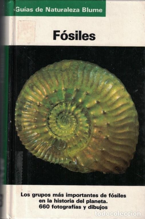 Libros: F&Oacute;SILES. - Beurlen. Karl, / Gerhard Lichter. - Foto 1
