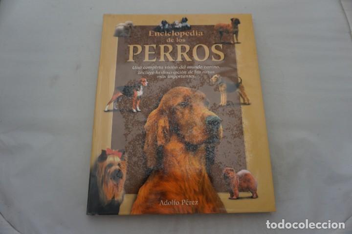 Libros: 19E/ ENCICLOPEDIA DE LOS PERROS - ADOLFO PEREZ AGUSTI / EDIMAT EDITOR - Foto 1