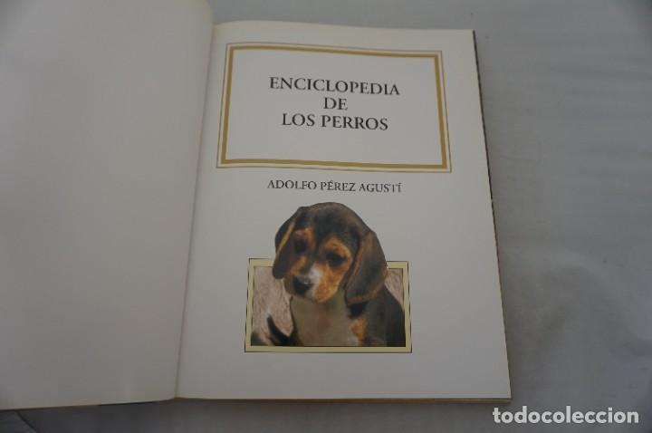 Libros: 19E/ ENCICLOPEDIA DE LOS PERROS - ADOLFO PEREZ AGUSTI / EDIMAT EDITOR - Foto 2