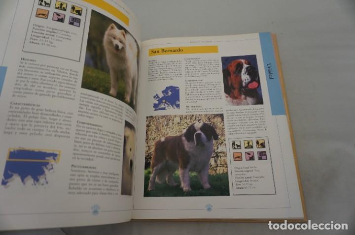 Libros: 19E/ ENCICLOPEDIA DE LOS PERROS - ADOLFO PEREZ AGUSTI / EDIMAT EDITOR - Foto 5