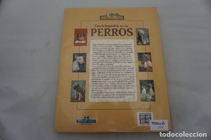 Libros: 19E/ ENCICLOPEDIA DE LOS PERROS - ADOLFO PEREZ AGUSTI / EDIMAT EDITOR - Foto 6
