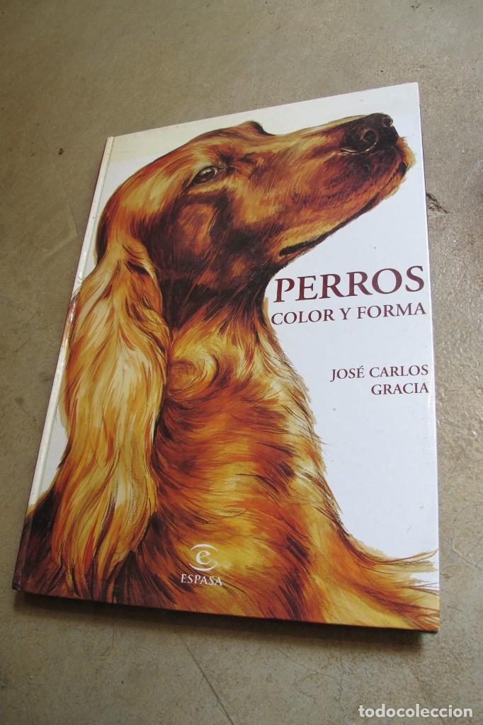 Libros: PERROS COLOR Y FORMA. JOSE CARLOS GARCIA - Foto 1