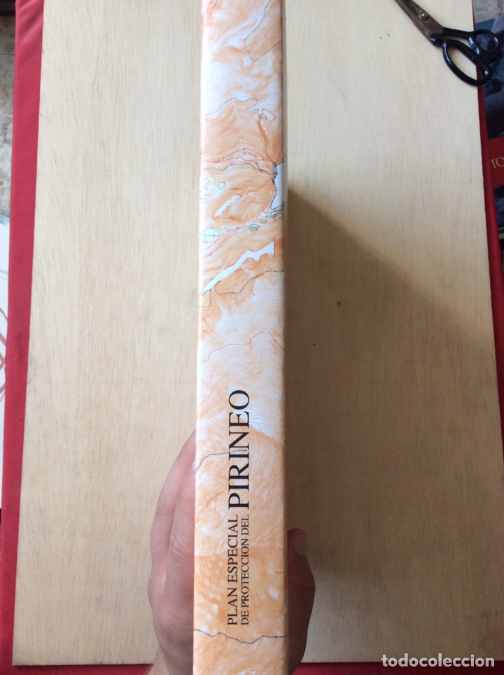 Libros: Plan especial de protecci&oacute;n del Pirineo - Foto 3
