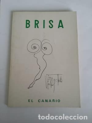 Libros: Brisa - Jos&eacute; Ra&uacute;l D&iacute;az Viera (El Canario) - Foto 1