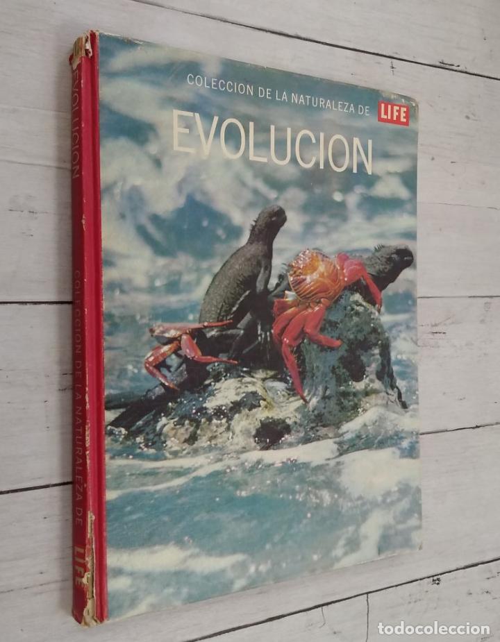 Libros: Evoluci&oacute;n - vvaa - Foto 1