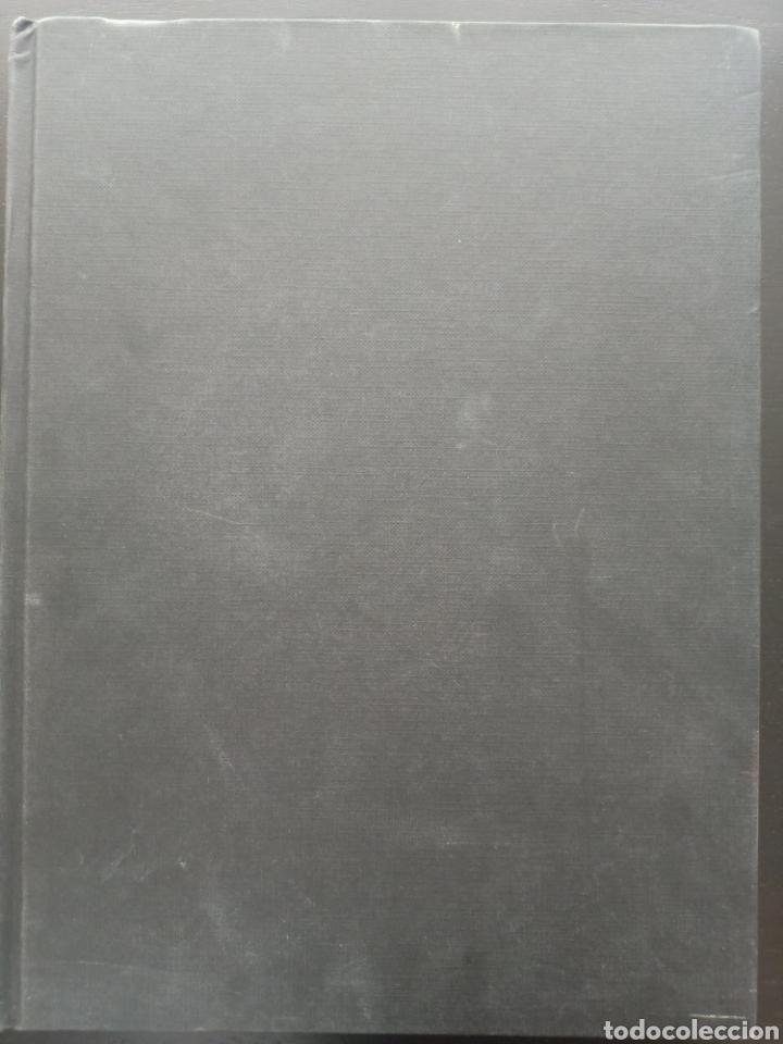 Libros: VIVEMENT NOEL! DANIEL PICOULY, EDITIONS HOEBEKE, 1996 - Foto 1