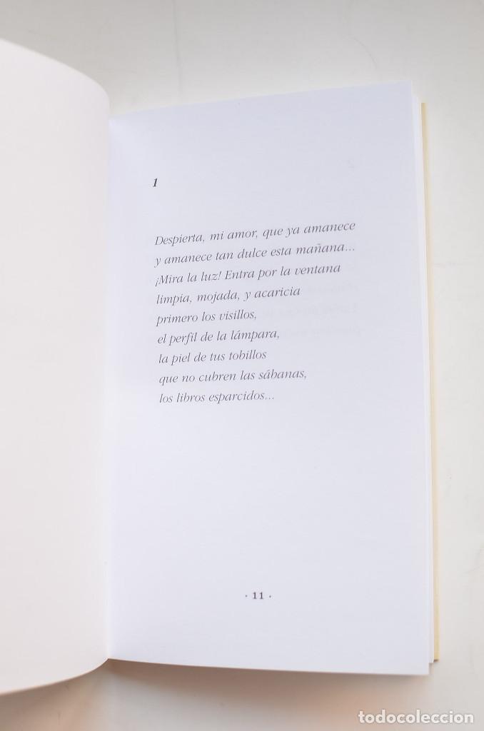 Libros: Con la luz - MANZANO CANO, Jes&uacute;s - Foto 3