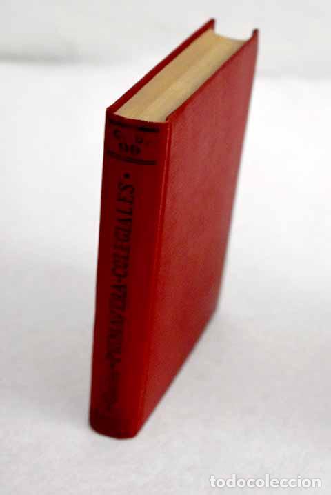 Libros: Primavera ; Los colegiales.- Garin - Foto 1