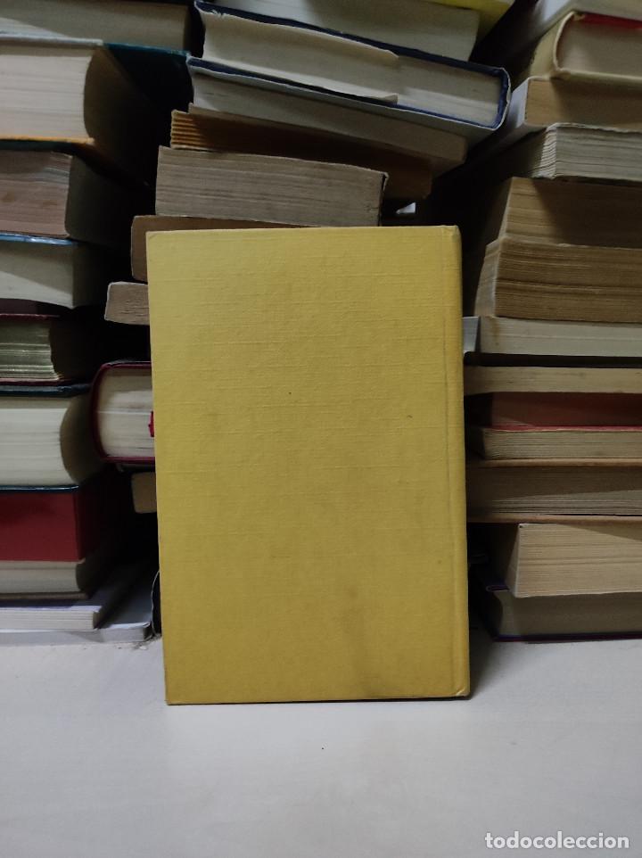 Libros: LA DAMA Y EL VAGABUNDO WALT DISNEY - Foto 2