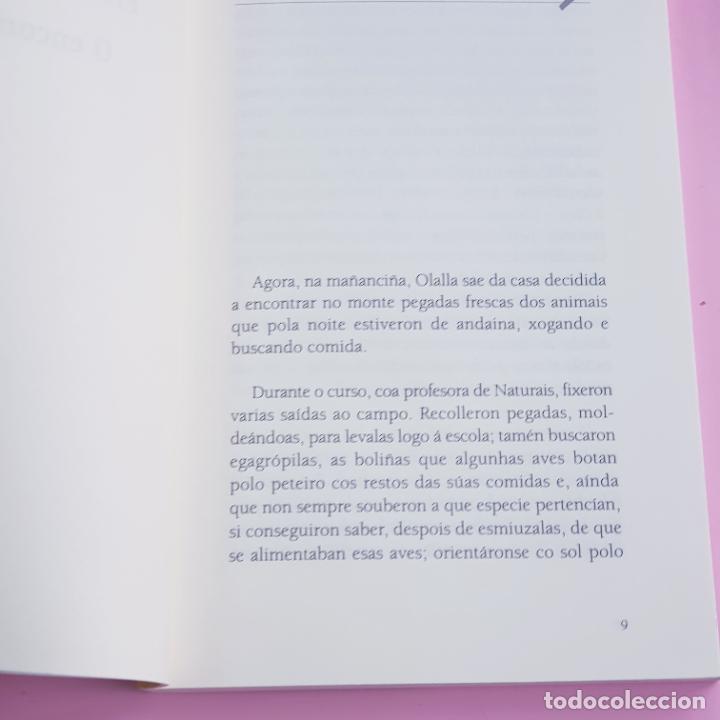 Libros: LIBRO/CUENTO-O TORQUES DE OURO-LOURDES MACEIRAS-2006-EXCELENTE - Foto 8