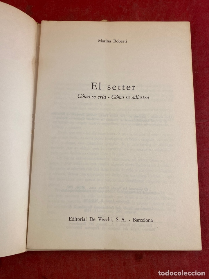 Libros: EL SETTER - Foto 2