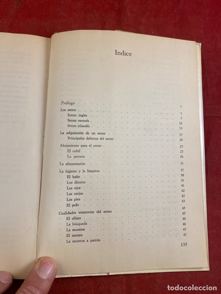 Libros: EL SETTER - Foto 4